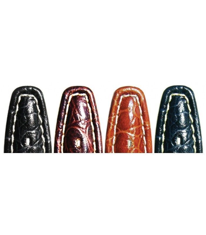 Correa de piel para repuesto reloj Swatch, Diloy Iron2