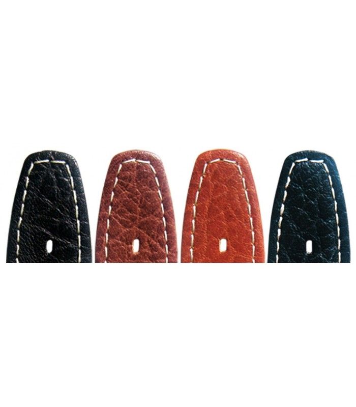 Correa de piel para repuesto reloj Swatch, Diloy Scub3